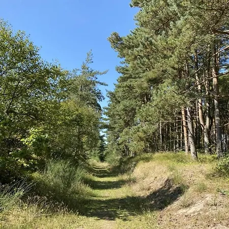 8 Person In Hadsund-by Traum